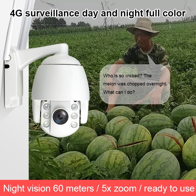 QX2 4G (US Version) 1080P HD 360 Degrees Panoramic Day and Night Full-color IP66 Waterproof Smart Camera, Support Motion Detection / Two-way Voice / TF Card, AU Plug, 4G US Version