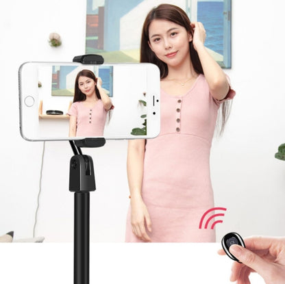 Desktop Stand Mobile Phone Tablet Live Broadcast Stand Telescopic Disc Stand, 1 PC