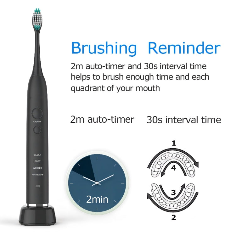 USB Charging Adults Electric Sonic Toothbrush with 8 Brush Heads