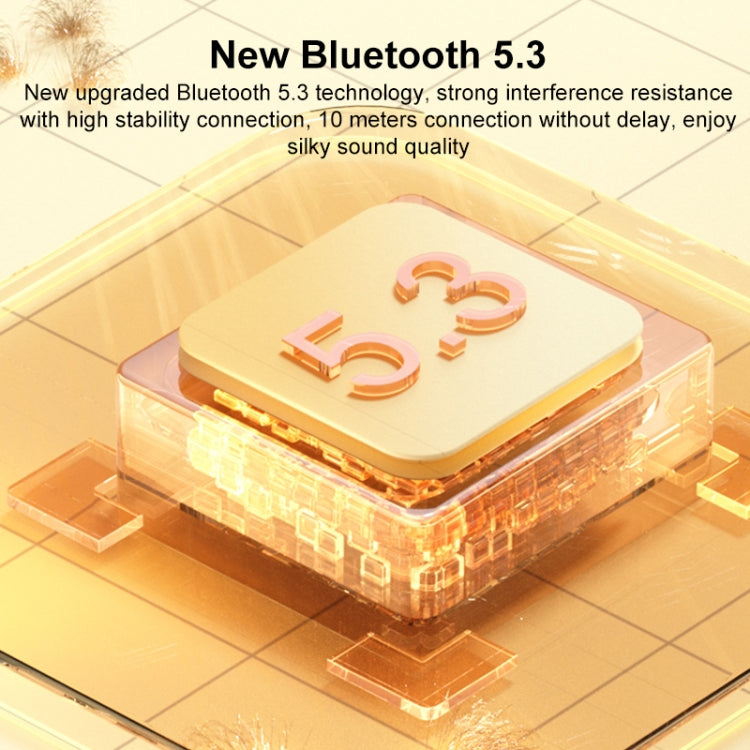 WK D43 Mini Karaoke Bluetooth Speaker