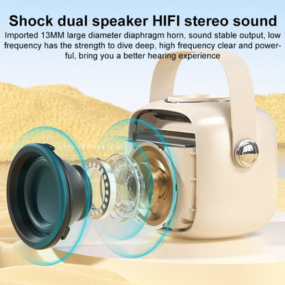 WK D43 Mini Karaoke Bluetooth Speaker