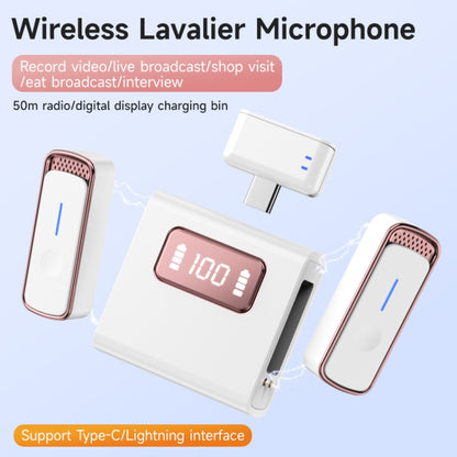 SX88 1 TX + 2 RX Smart Noise Reduction Lavalier Wireless Microphone, Type-C, 8 Pin