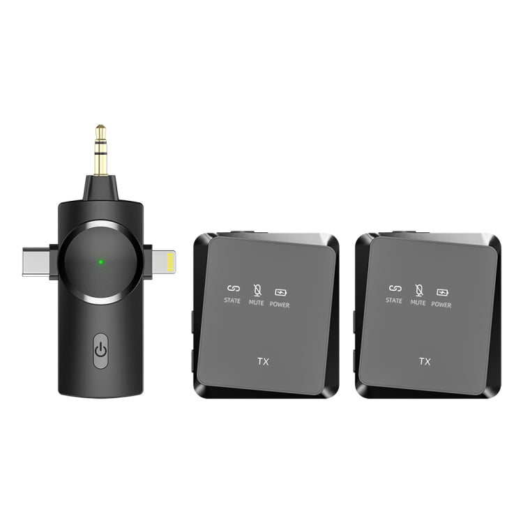 AP009 Wireless One to Two Lavalier Microphone with 3 in 1 Receiver, One to Two