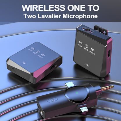 AP009 Wireless One to Two Lavalier Microphone with 3 in 1 Receiver, One to Two