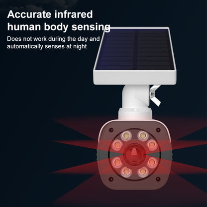 Human Body Sensing Simulation Surveillance Camera Solar Wall Light