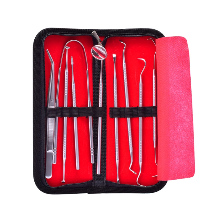 9 In 1 Stainless Steel Dentist Tools Set, 9 In 1