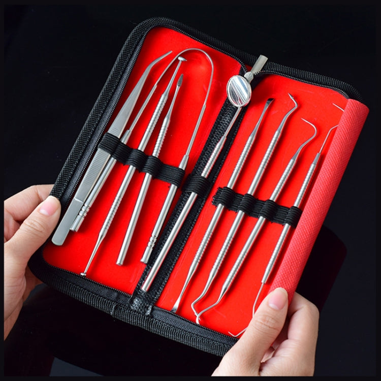 9 In 1 Stainless Steel Dentist Tools Set, 9 In 1