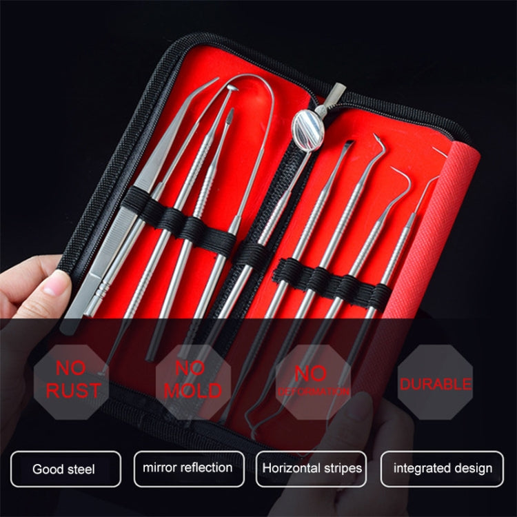 9 In 1 Stainless Steel Dentist Tools Set, 9 In 1