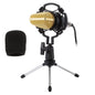 BM-700 USB Professional Condenser Microphone