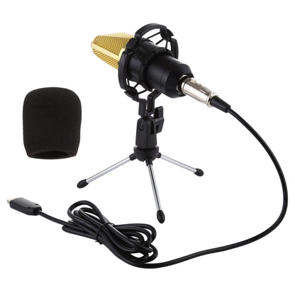 BM-700 USB Professional Condenser Microphone