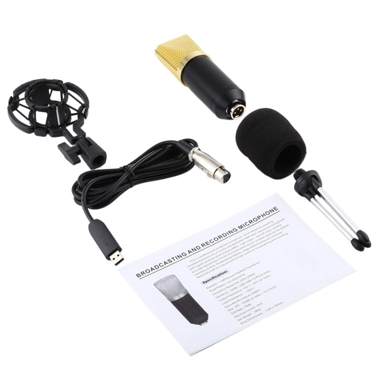 BM-700 USB Professional Condenser Microphone