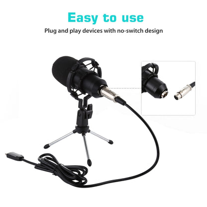 BM-700 USB Professional Condenser Microphone