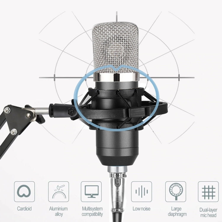 BM-700 USB Professional Condenser Microphone