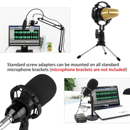 BM-700 USB Professional Condenser Microphone