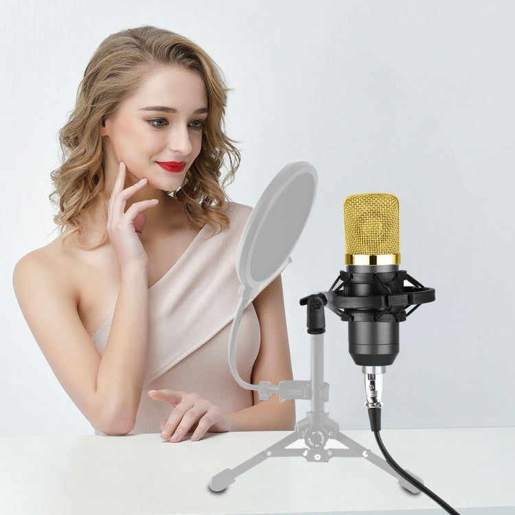 BM-700 USB Professional Condenser Microphone