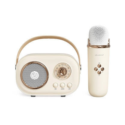 C20 Plus Multifunctional Karaoke Bluetooth Speaker With Microphone