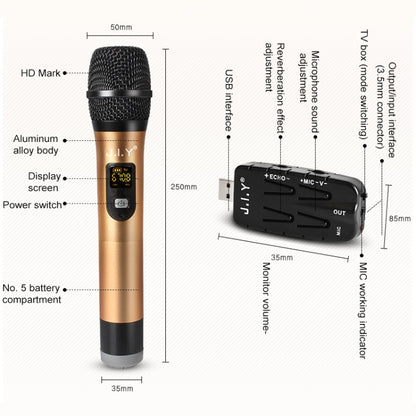 J.I.Y 2 in 1 K Song Wireless Microphones for TV PC with Audio Card USB Receiver and LED Display, 2 in 1 Gold