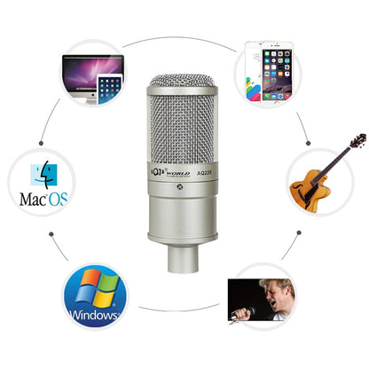 AQ-220 K Song Live Recording Noise Reduction Capacitor Microphone