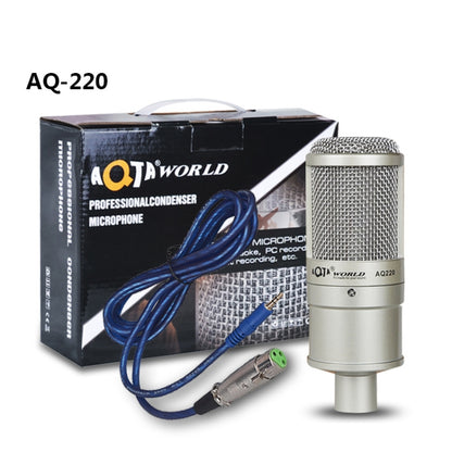 AQ-220 K Song Live Recording Noise Reduction Capacitor Microphone