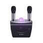 WK D19 National K Song King Wireless Bluetooth 5.0 Speaker with KTV Atmosphere Light