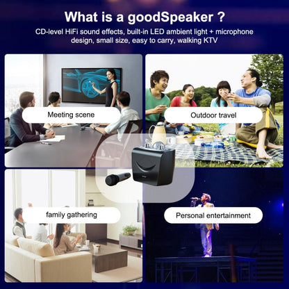 WK D19 National K Song King Wireless Bluetooth 5.0 Speaker with KTV Atmosphere Light