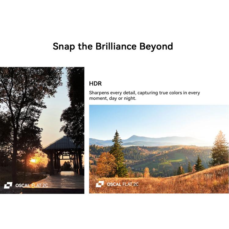 MPH2931_B13.jpg@a9b90b6def93efd3424d27cecdfc9269