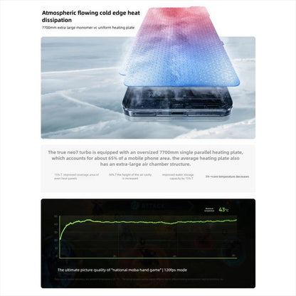 MPH5477_B6.jpg@771b015fe072c5078770e0edb38676ed