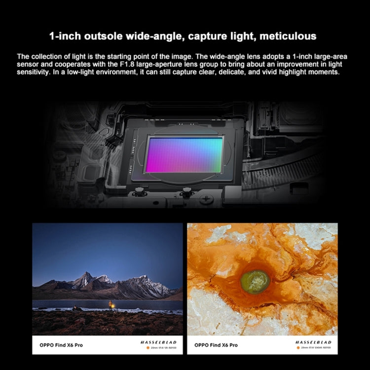Triple Rear Cameras, 6.82 inch ColorOS 13.1 Qualcomm Snapdragon 8 Gen 2 Octa Core up to 3.187GHz, Network: 5G, Support Google Play, 16GB+256GB, Find X6 Pro 16GB+256GB