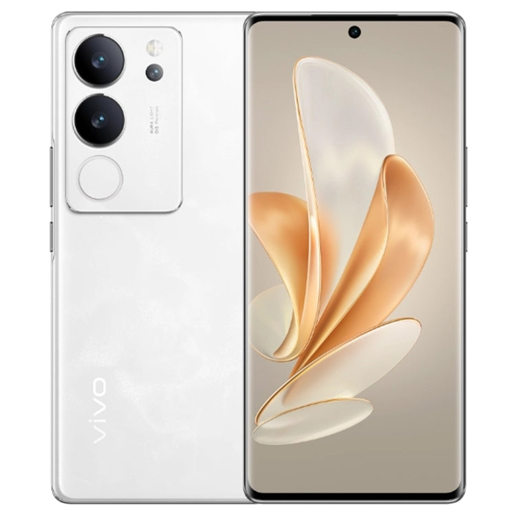 Triple Back Cameras, Srceen Fingerprint Identification, 4600mAh Battery, 6.78 inch Android 13 OriginOS 3 Dimensity 8200 Octa Core up to 3.1GHz, OTG, NFC, Network: 5G, 12GB+256GB