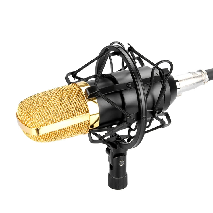 FIFINE F-700 Professional Condenser Sound Recording Microphone with Shock Mount for Studio Radio Broadcasting & Live Boardcast, 3.5mm Earphone Port, Cable Length: 2.5m