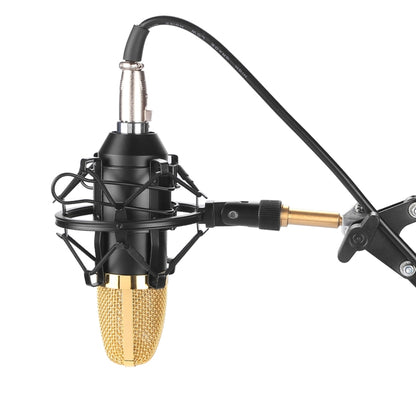 FIFINE F-700 Professional Condenser Sound Recording Microphone with Shock Mount for Studio Radio Broadcasting & Live Boardcast, 3.5mm Earphone Port, Cable Length: 2.5m