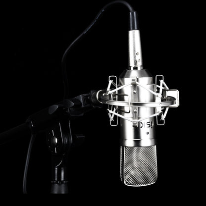 ISK BM-800 Sound Recording Microphone Condenser Mic for Studio and Broadcasting, BM-800