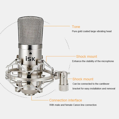 ISK BM-800 Sound Recording Microphone Condenser Mic for Studio and Broadcasting, BM-800