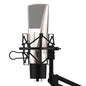 Yanmai Q6 Professional Game Condenser Sound Recording Microphone, Compatible with PC and Mac for  Live Broadcast Show, KTV, etc.