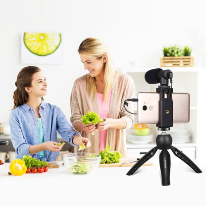 PULUZ Live Broadcast Smartphone Video Vlogger Kits Microphone + Tripod Mount + Phone Clamp Holder, Mic + Tripod + lamp