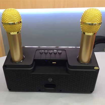 SDRD SD-301 2 in 1 Family KTV Portable Wireless Live Dual Microphone + Bluetooth Speaker