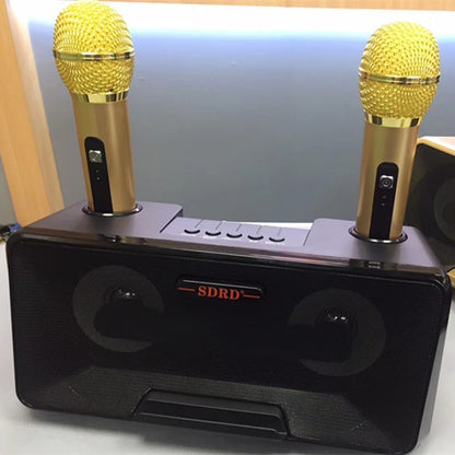 SDRD SD-301 2 in 1 Family KTV Portable Wireless Live Dual Microphone + Bluetooth Speaker