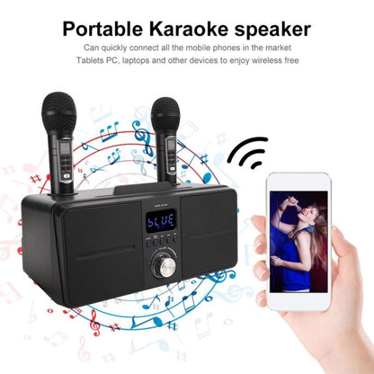 SDRD SD309 Wireless Microphone Bluetooth Audio All-In-One Machine