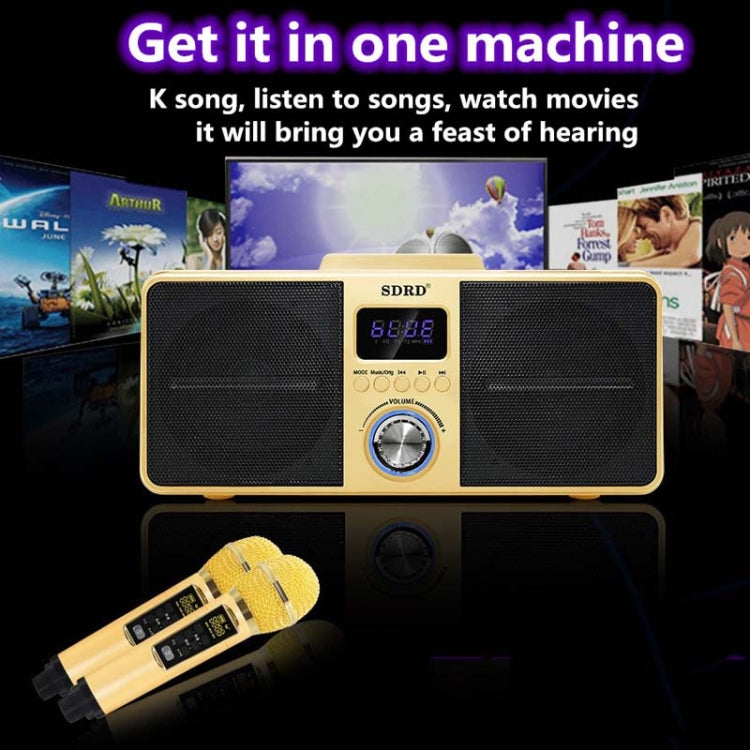 SDRD SD309 Wireless Microphone Bluetooth Audio All-In-One Machine