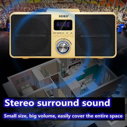 SDRD SD309 Wireless Microphone Bluetooth Audio All-In-One Machine