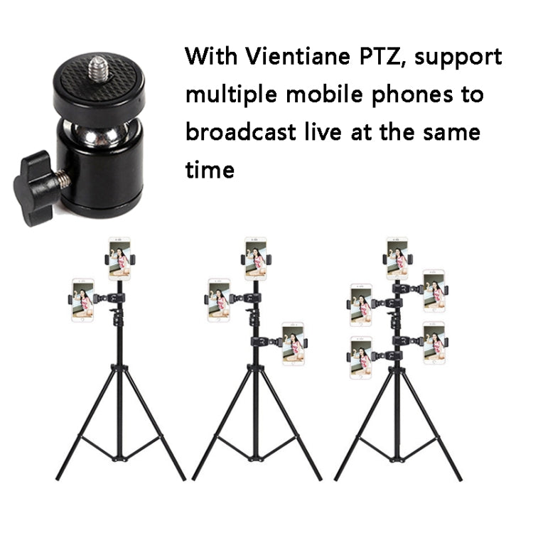 3 PCS Live Holder Conversion Interface For ZF0111, Universal Punitai, Three Position Clip