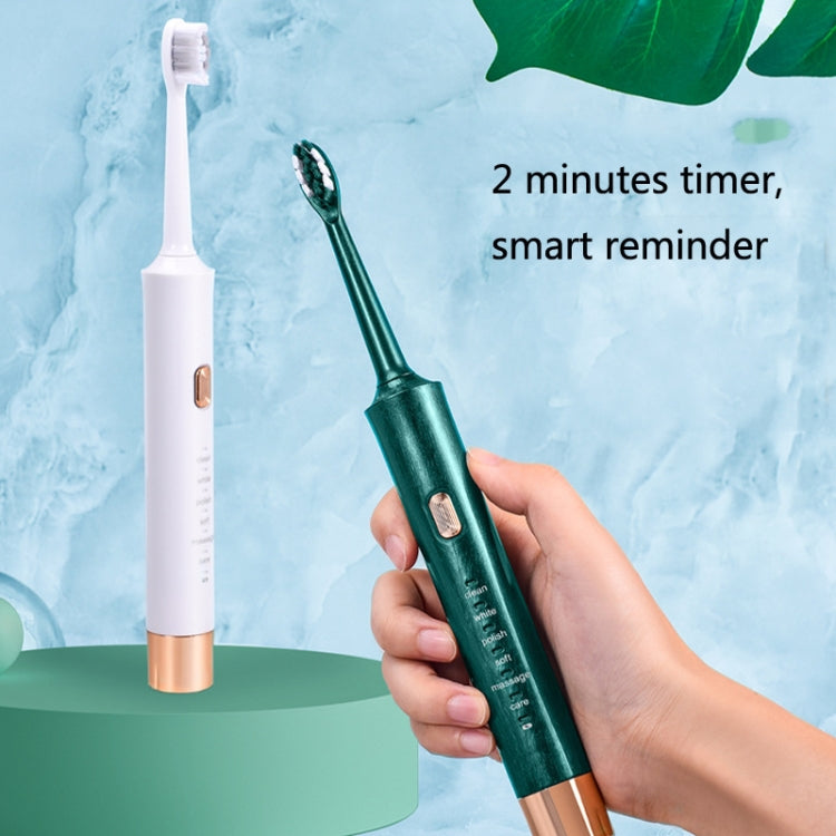 AW-175 Adult Household USB Sonic Electric Toothbrush Couple Toothbrush, White, Pink, Green, Black