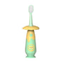 TY1020 Children Cartoon Soft Toothbrush, Mint Green, Coral Orange, Ivory Yellow, Glass Green