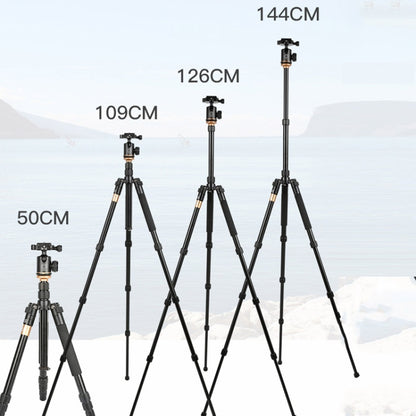 QingZhuangShiDai Q999S Portable Projector Photography Camera Live Gimbal Tripod, Q999S(Black)