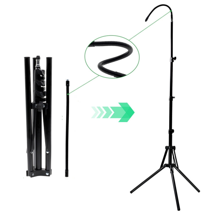 1.6m Live Photography Light Stand Thickened Anti-folding Tripod, With 30cm Hose