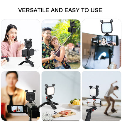 KIT-11LM Tripod Fill Light With Microphone Vlogging Kit For Live Phone Recording, V13 Vlogging Kit