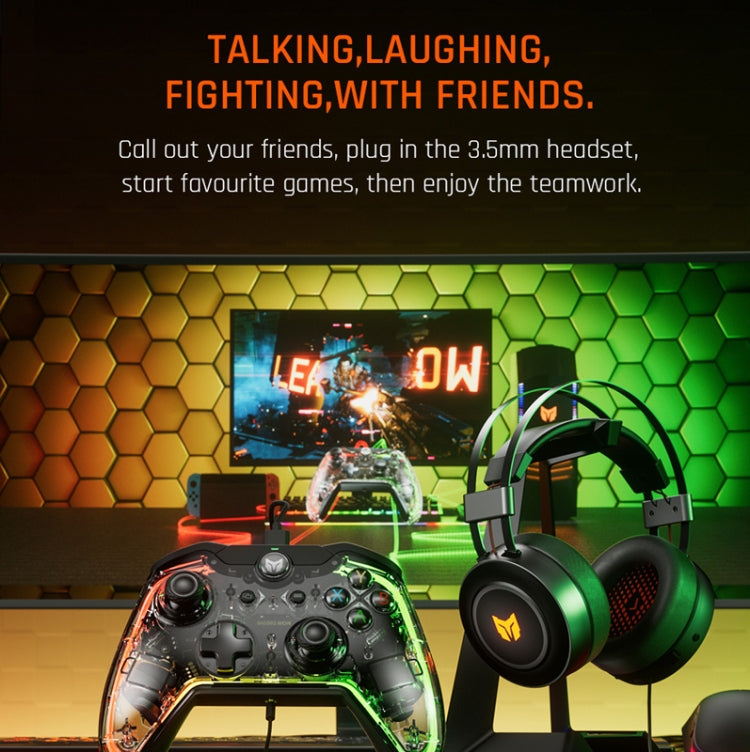 RGB Light Wired Gamepad Controller For PC/Switch, BIGBIGWON C1 Lite, BIGBIGWON C1 Lite+R90, BIGBIGWON C1 S, BIGBIGWON C1 S+R90