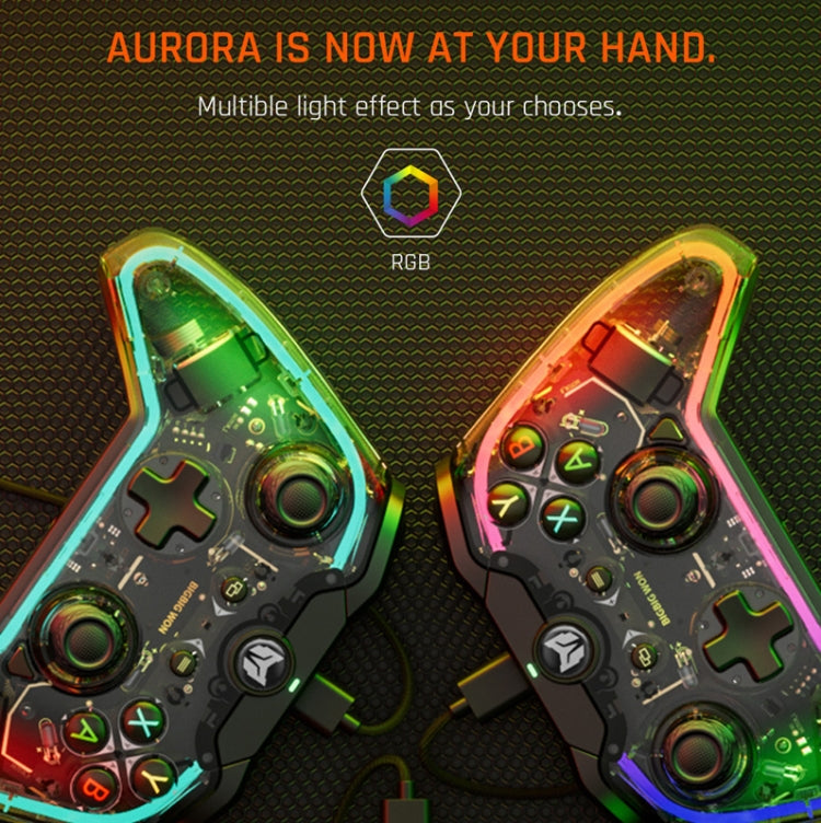 RGB Light Wired Gamepad Controller For PC/Switch, BIGBIGWON C1 Lite, BIGBIGWON C1 Lite+R90, BIGBIGWON C1 S, BIGBIGWON C1 S+R90