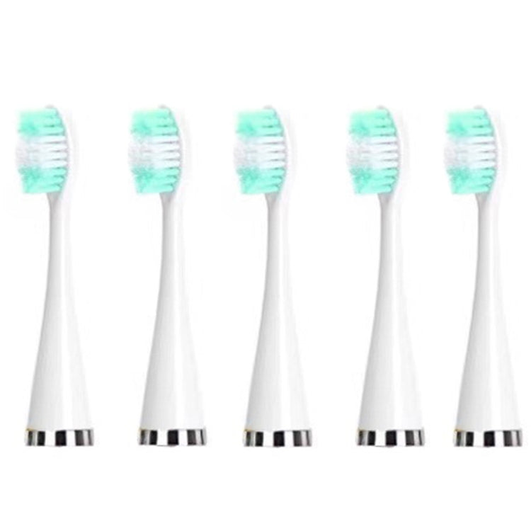 Electric Dental Scaler Accessories Replacement Head, White Basic, White Exclusive, Black Basic, Black Exclusive, Green Basic, Green Exclusive, 5pcs Toothbrush Head White, 5pcs Toothbrush Head Black, 5pcs Toothbrush Head Green