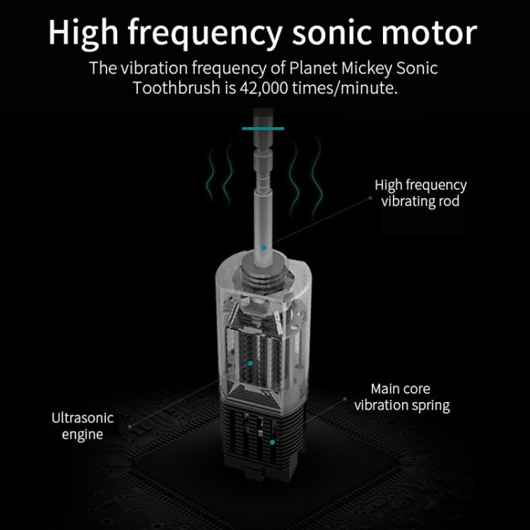 Rechargeable Ultrasonic Soft Bristle Electrical Toothbrushes Flosser 6 Gear With 4 Brushes